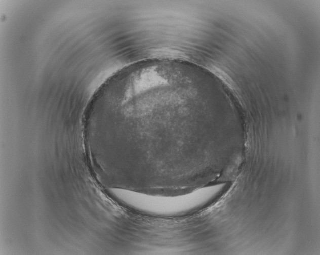 X0000088401022200706121230