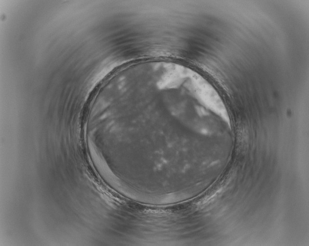 X0000088401023200706121230