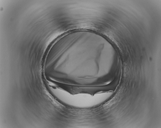 X0000088401024200706121230