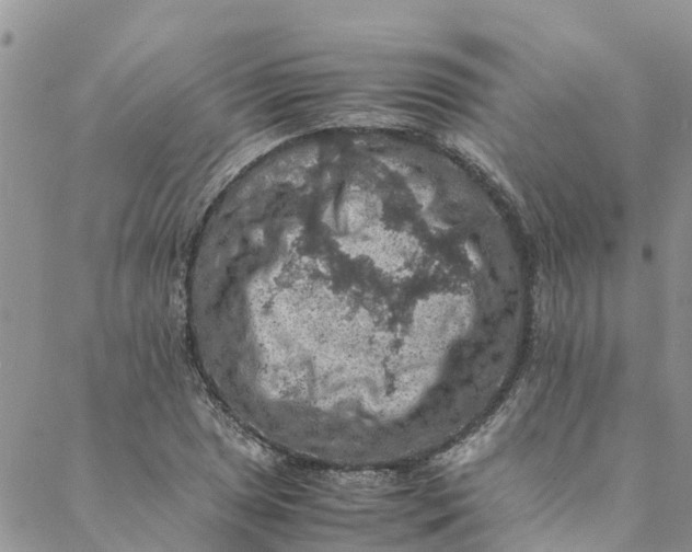 X0000088401025200706121230