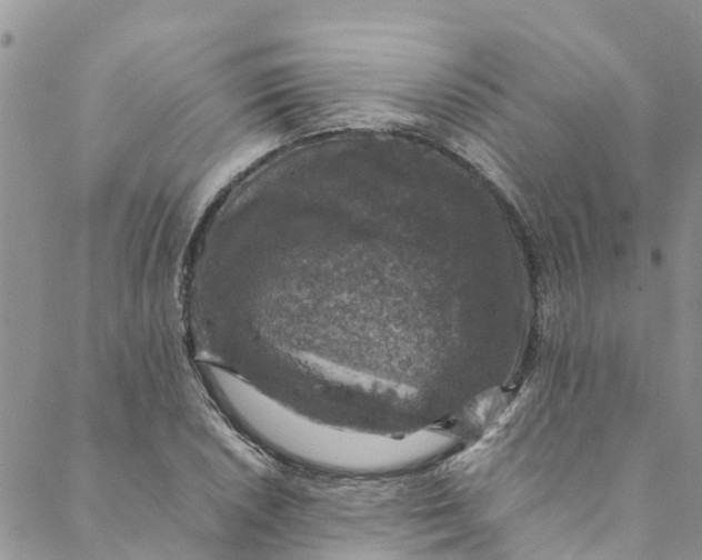 X0000088401026200706121230