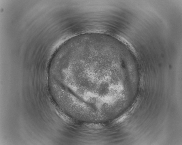 X0000088401027200706121230