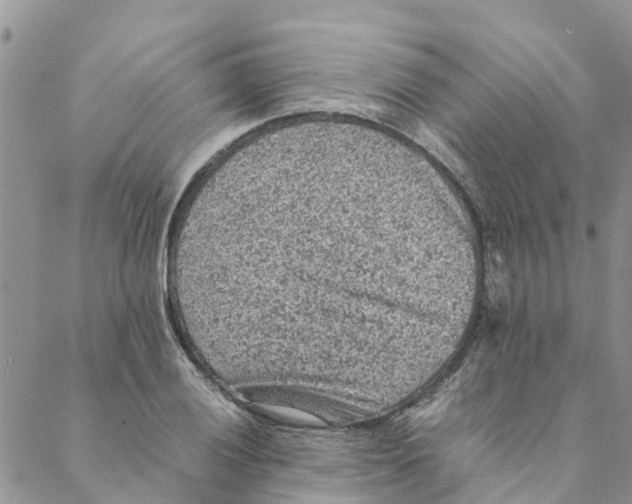 X0000088401028200706121230