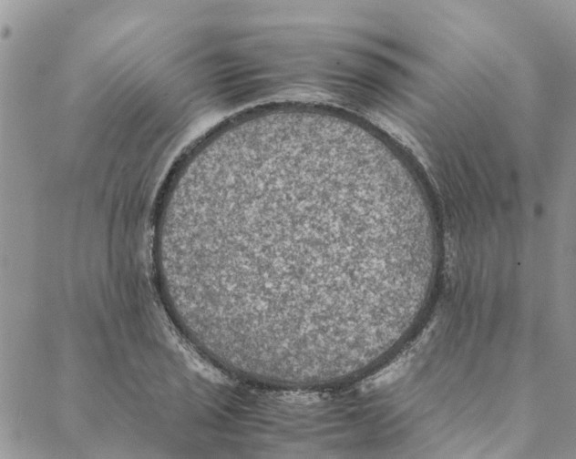 X0000088401029200706121230