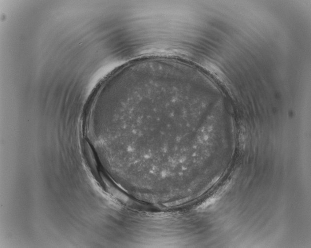 X0000088401030200706121230