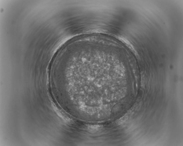 X0000088401031200706121230