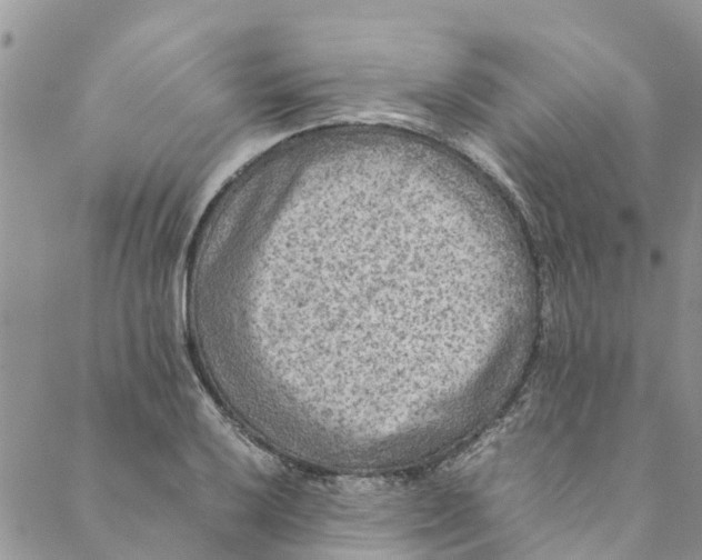 X0000088401032200706121230