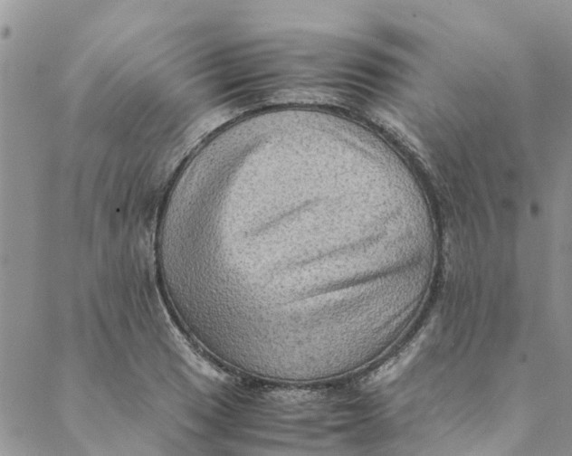 X0000088401033200706121230