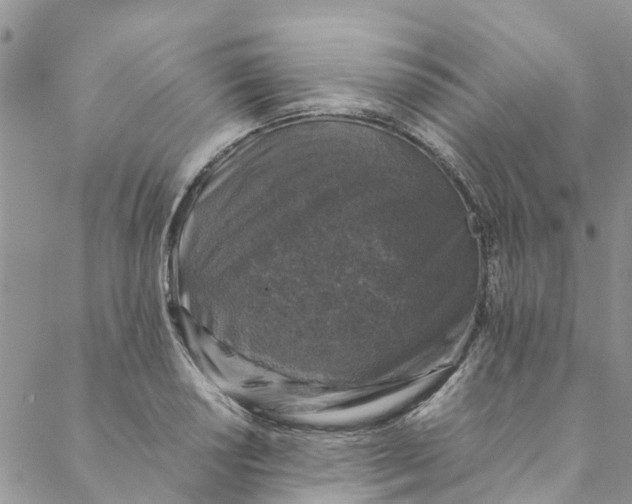 X0000088401034200706121230