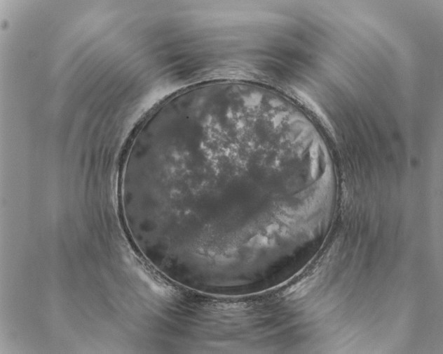 X0000088401035200706121230