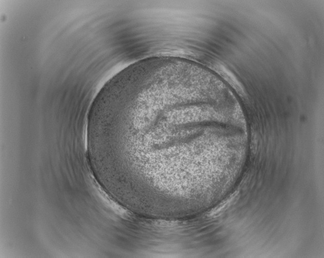 X0000088401036200706121230