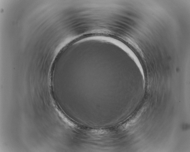 X0000088401037200706121230