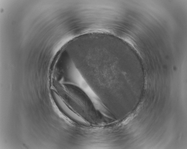 X0000088401038200706121230