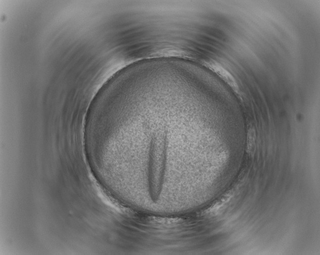 X0000088401039200706121230