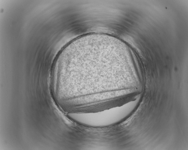 X0000088401040200706121230