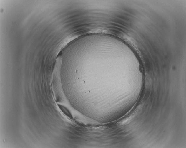 X0000088401041200706121230