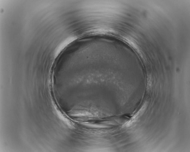 X0000088401042200706121230