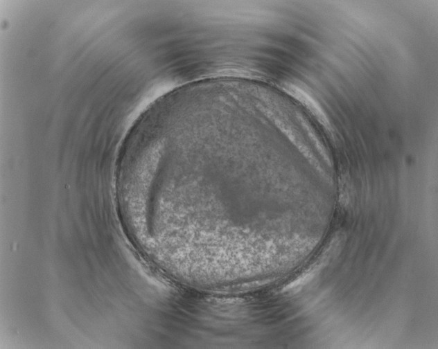 X0000088401043200706121230