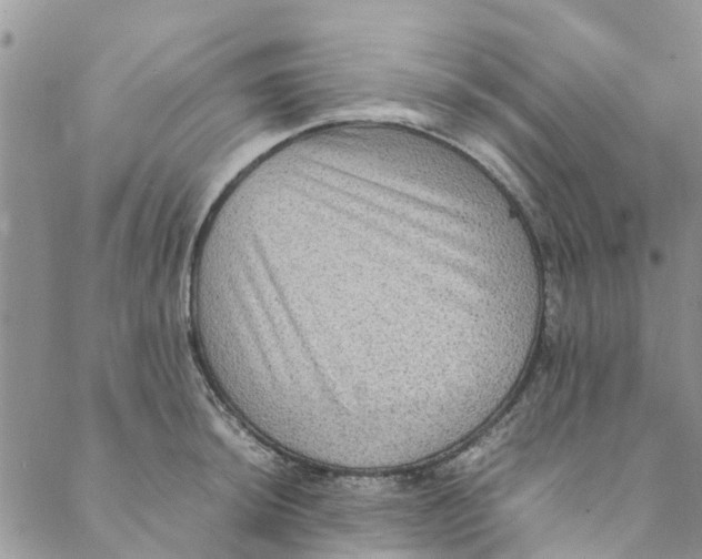 X0000088401044200706121230