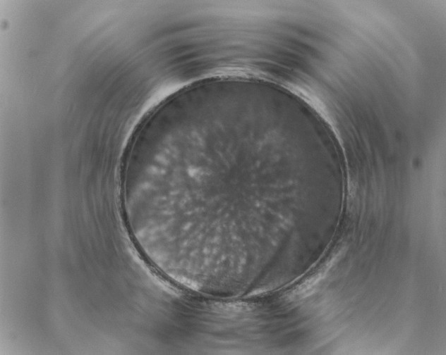 X0000088401045200706121230