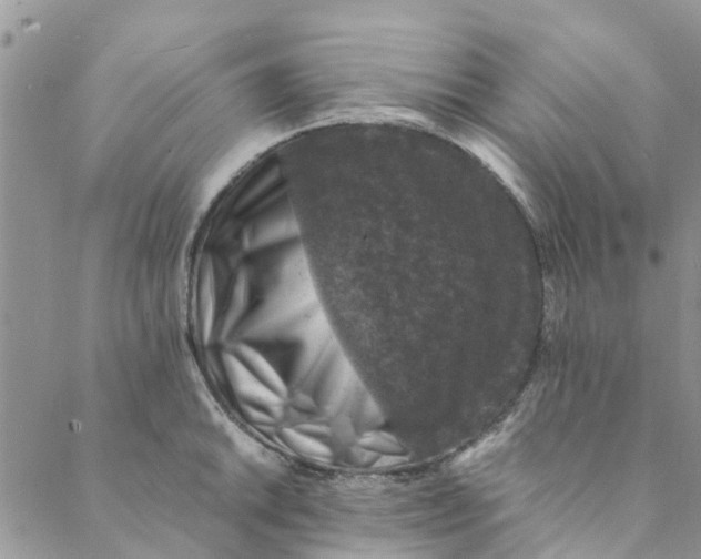 X0000088401046200706121230