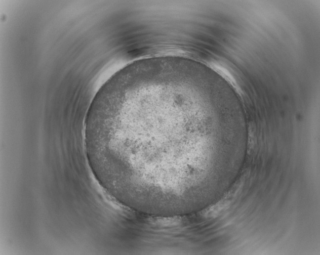 X0000088401047200706121230