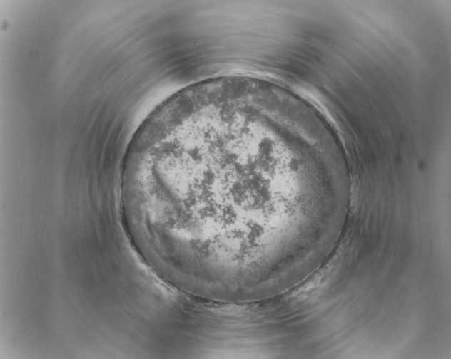 X0000088401048200706121230