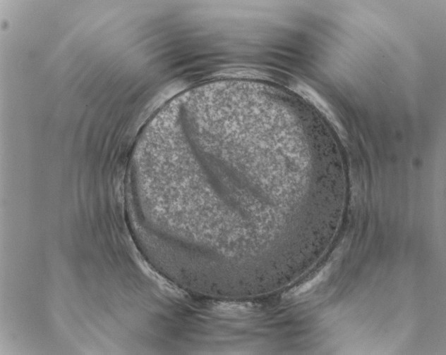 X0000088401049200706121230