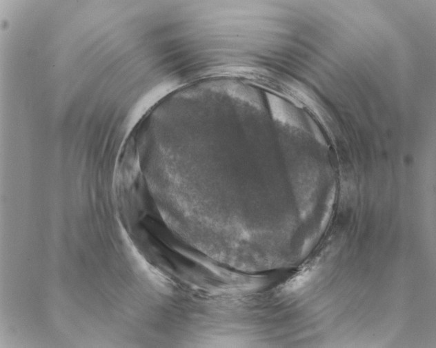 X0000088401050200706121230