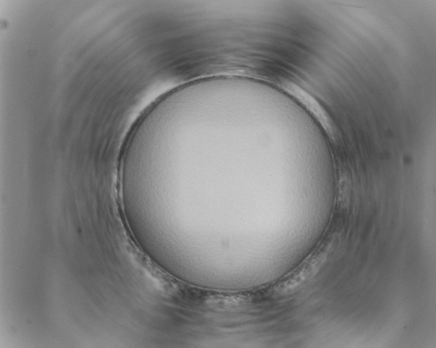 X0000088401051200706121230