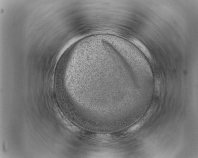 X0000088401052200706121230