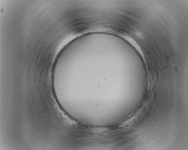 X0000088401053200706121230