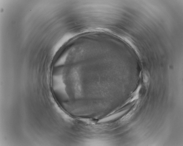 X0000088401054200706121230