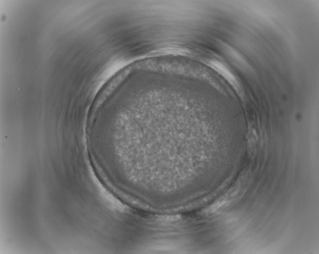 X0000088401055200706121230