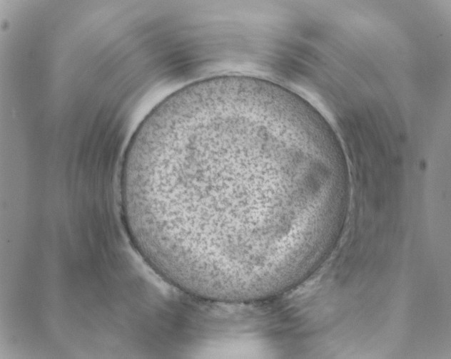 X0000088401056200706121230