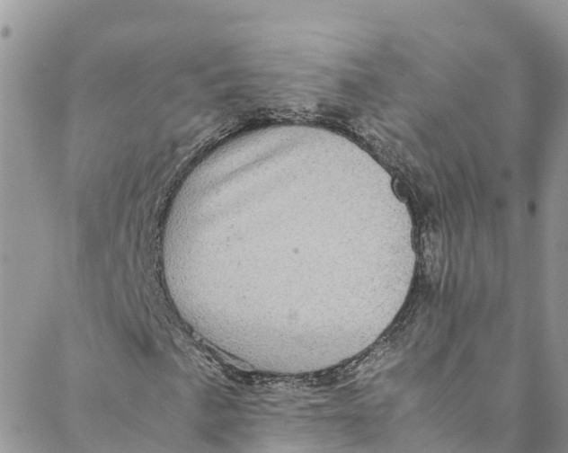 X0000088401057200706121229