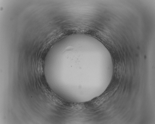 X0000088401058200706121229