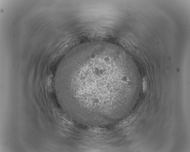 X0000088401059200706121229