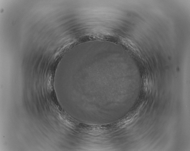 X0000088401060200706121229