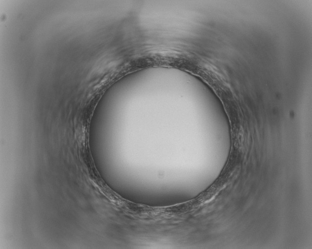 X0000088401061200706121229