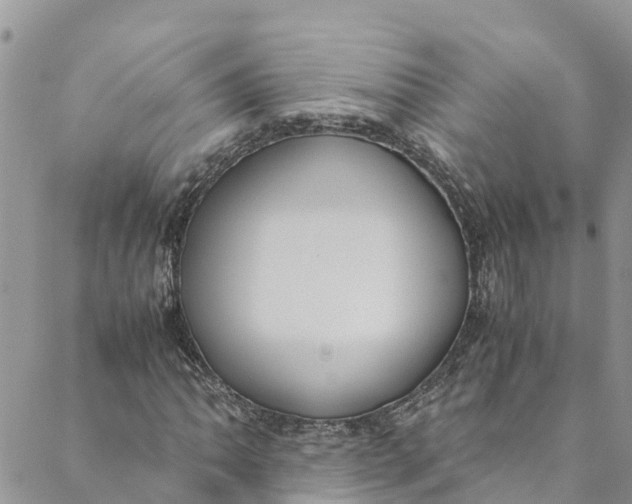 X0000088401062200706121229