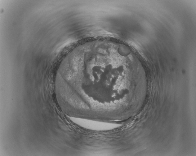 X0000088401063200706121229