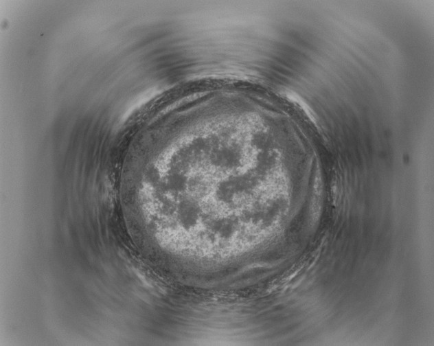 X0000088401064200706121229