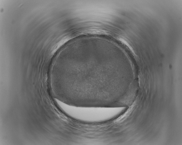 X0000088401065200706121229