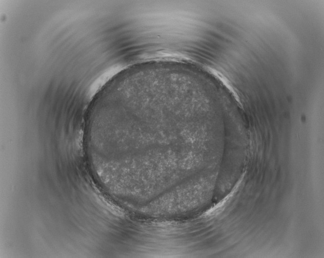 X0000088401066200706121229