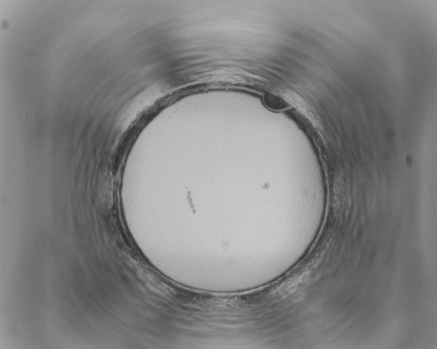 X0000088401067200706121229