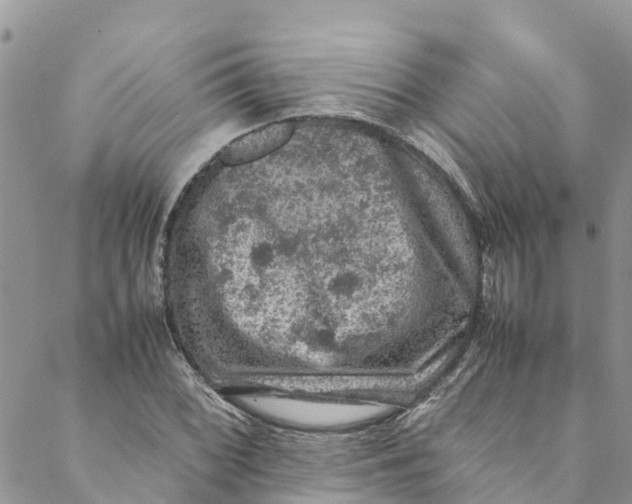 X0000088401068200706121229