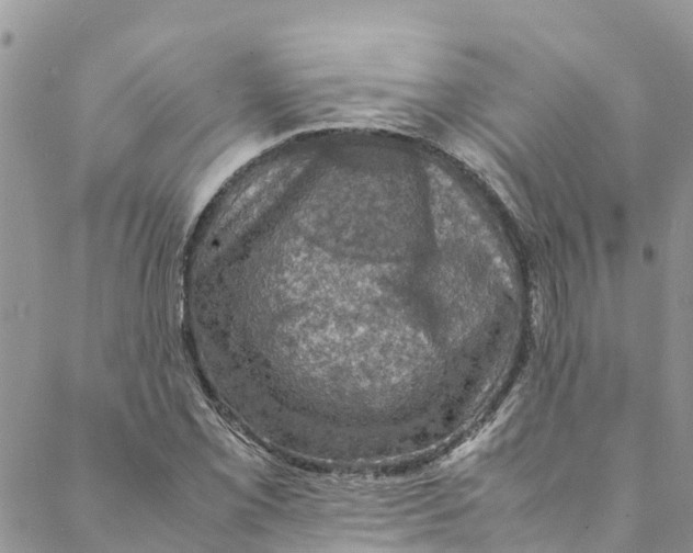 X0000088401069200706121229