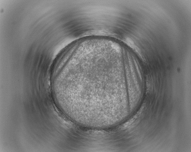 X0000088401070200706121229