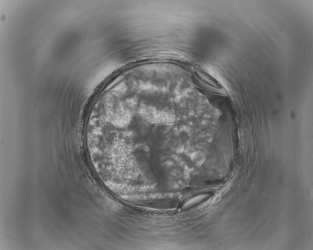 X0000088401071200706121229